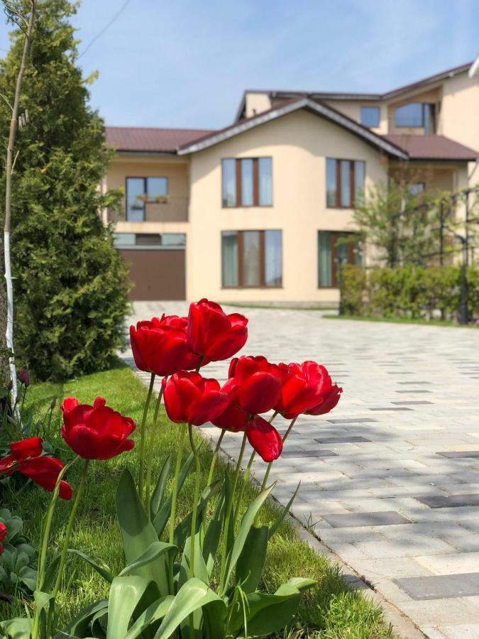 Eden Blue Hotel Costinesti Exterior photo
